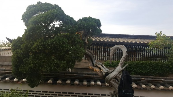 e481cc611871093ff21dd0e5565980c7_1464847