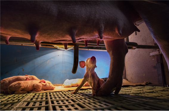 e3e8d9e8f088eeff2989eec715afee04_1469601