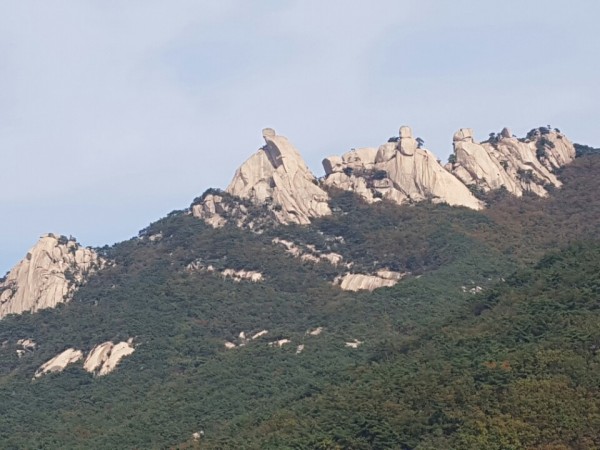 beda4c2262bb118ad62af24ccaa3857d_1479092