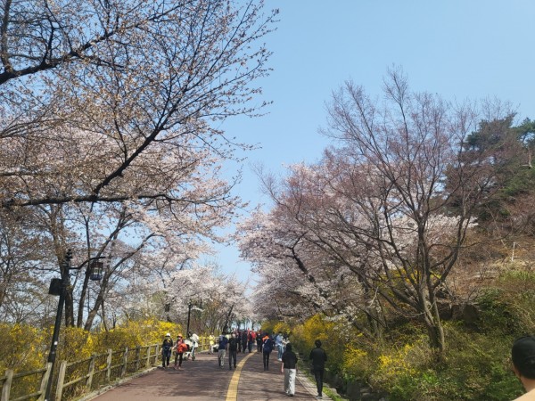 9a866bf36d9ae9cc63f46652eadafa1c_1684826