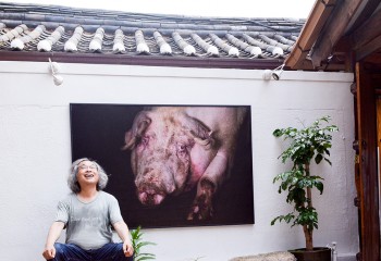 취미가 직업이 된 사진작가 박찬원의 꿈, “내 작품이 국립현대미술관에 소…
