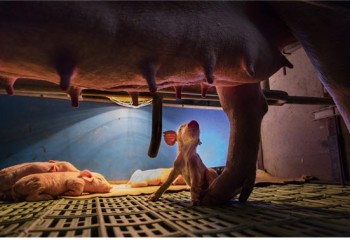 [⁠명사 에세이]박찬원-사진이 열어준 세상